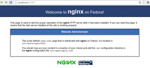 nginx_screenshot1
